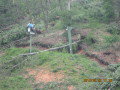 IMG-2786.JPG