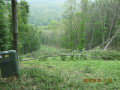 IMG-2808.JPG