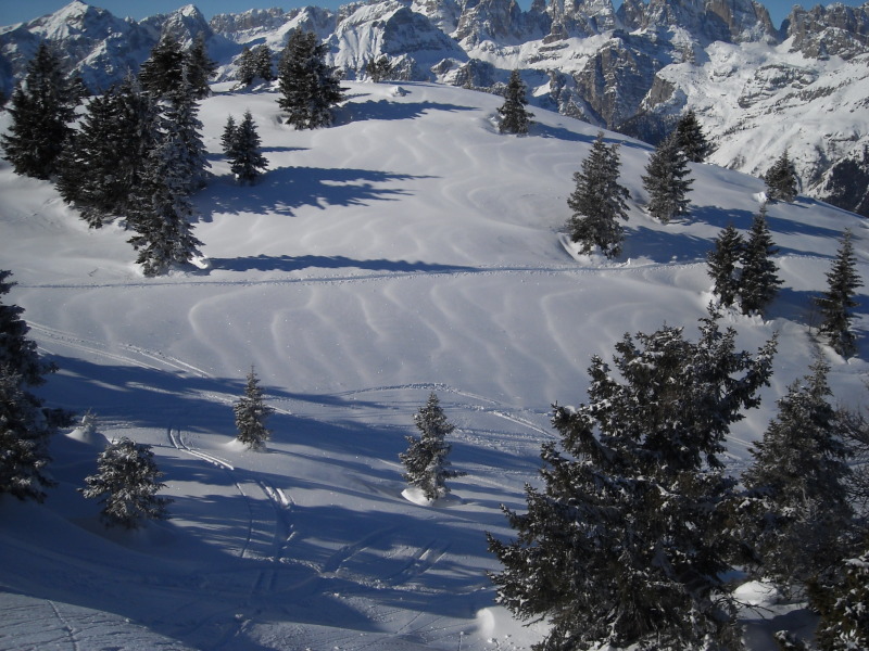 DSCN0736.JPG