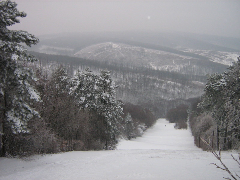 IMG-2163.JPG