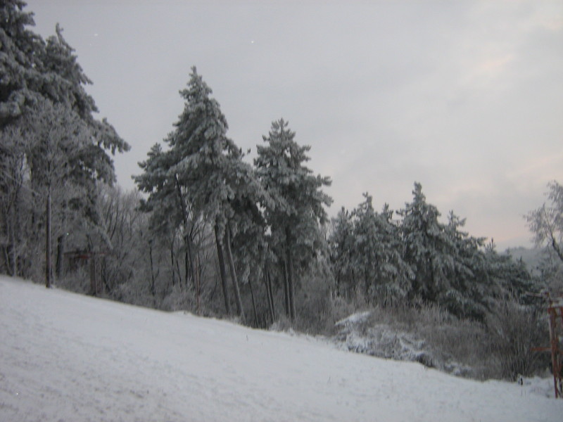 IMG-2164.JPG