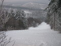 IMG-2162.JPG