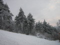 IMG-2164.JPG