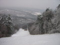 IMG-2166.JPG