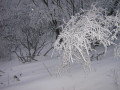 IMG-2174.JPG