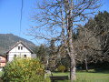 pension-pilsachhof14.JPG