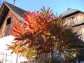 pension-pilsachhof15.JPG