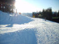 S5001679.jpg