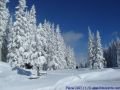 800-planai08.JPG