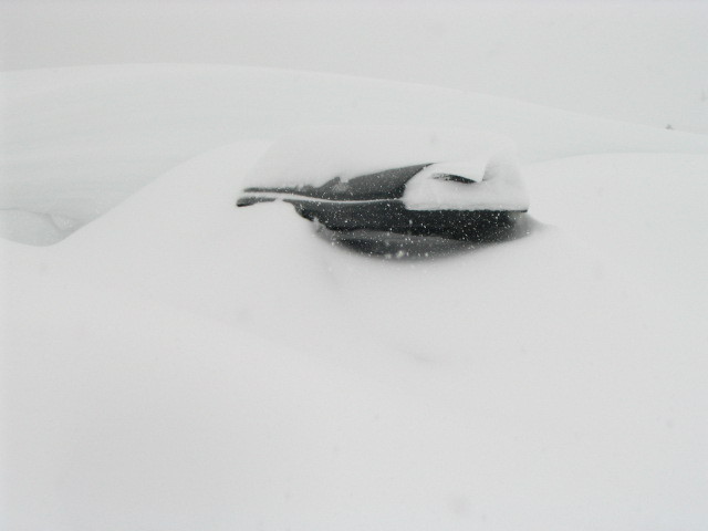 auto03.JPG