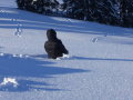 Postalm 2012. janu�r&nbsp;(8 k�p)