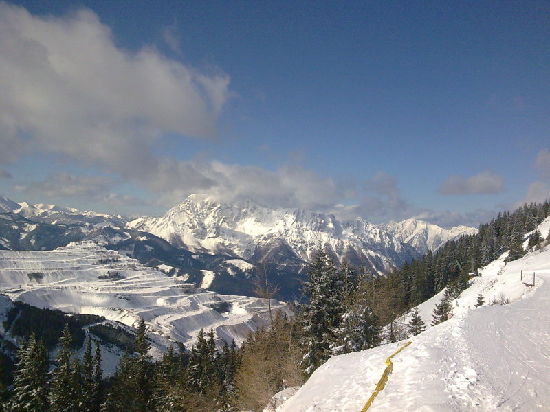 20100221-31.jpg