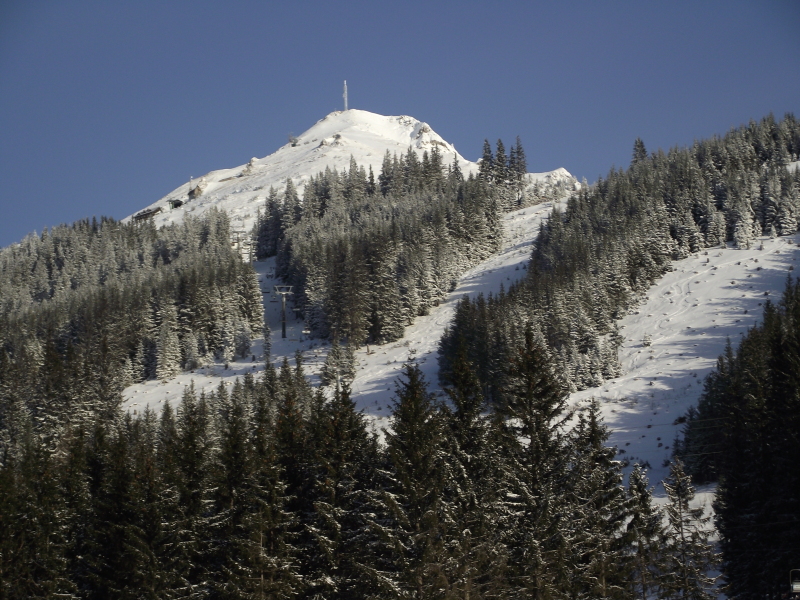sieles-2011-092.jpg