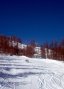 Praloup-2008-049.jpg