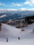 Monales fel�