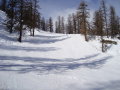 DSC00561.JPG