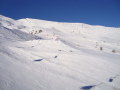 DSC08193.JPG