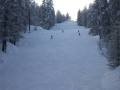 IMG-2297.JPG