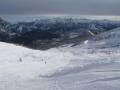 IMG-7207.JPG