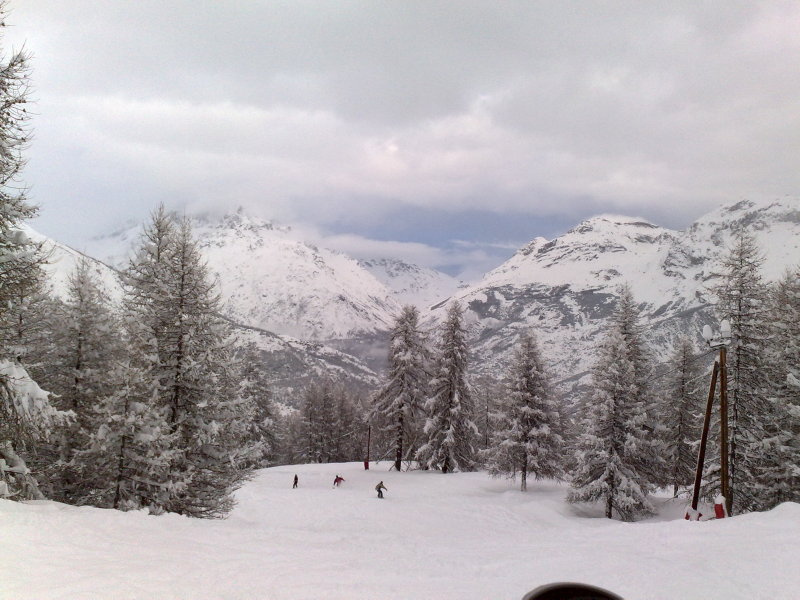 20100108289.jpg
