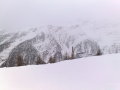 20100107264.jpg