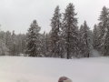 20100108287.jpg