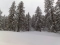20100108288.jpg