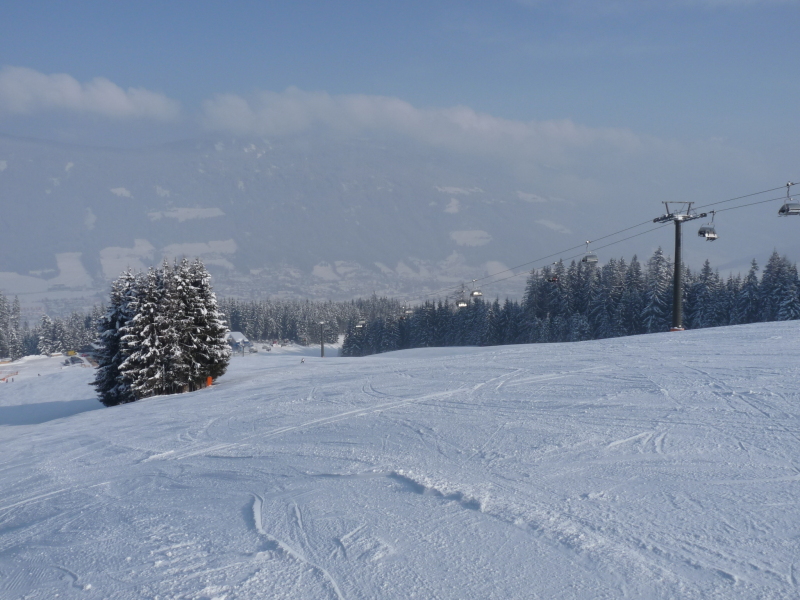 P1020441.JPG