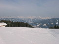 IMG-3311.jpg