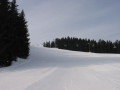 IMG-3319.jpg