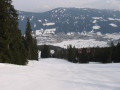 IMG-3323.jpg