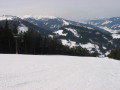 IMG-3342.jpg