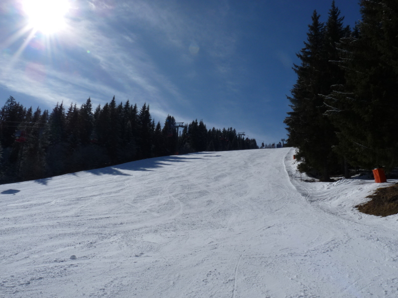 P1020548.JPG