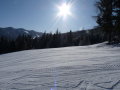 P1020531.JPG