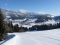 P1020534.JPG