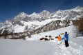 Winter-2.jpg