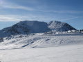 A Tamai �s az Arvenis