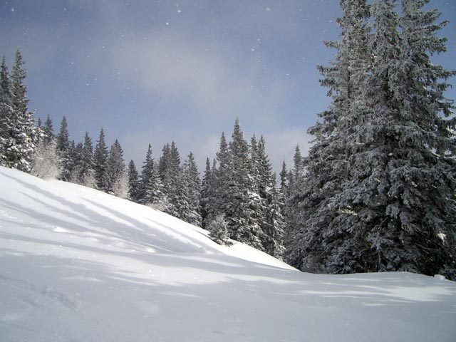 IMGP4163-.jpg