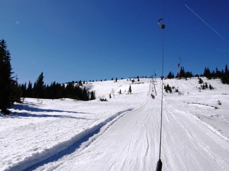 P2244461.jpg