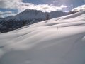 DSC00040.JPG