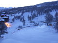 2010-01210081.JPG