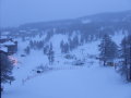 2010-01210106.JPG