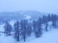 2010-01210112.JPG