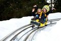 Rogla---Alpine-coaster-Zlodejevo.jpg