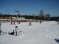 Rogla, 2012. m�rcius 15.