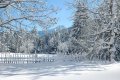 1-Winterlandschaft.jpg
