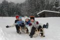 2-Schlittenkinder.jpg