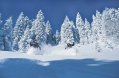 3-Tiefschneefahrer.jpg