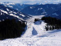 P1080067.jpg