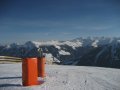 IMG-3447.JPG